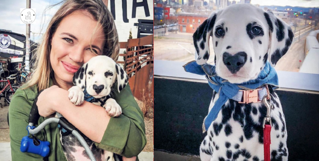 Born with a heart-shaped nose was Wiley the Dalmatian.