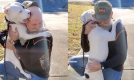 A rescue dog and its family have a touching reunion after a long time