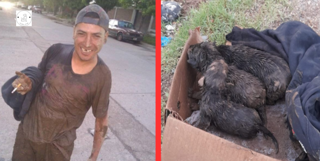Read more about the article A man jumps into a tiny ditch to rescue pups.