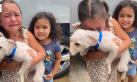 When her lost dog is finally found, a young girl breaks down in uncontrollable joy.