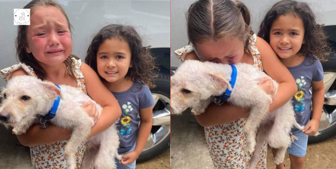 Read more about the article When her lost dog is finally found, a young girl breaks down in uncontrollable joy.