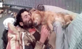 This homeless man sleeps with his dog in his arms, a four-legged angel who never lets him down