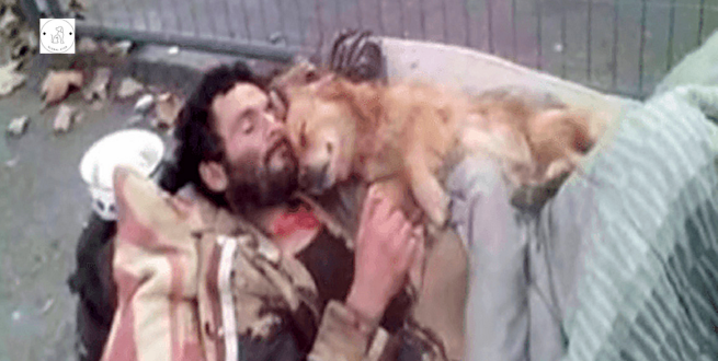 Read more about the article This homeless man sleeps with his dog in his arms, a four-legged angel who never lets him down