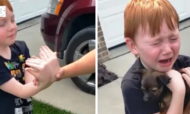 Boy saving up to buy a puppy and granny telling him to close his eyes and stretch his arms