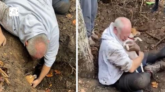 Read more about the article When he discovers his beloved puppy he bursts into tears of joy.