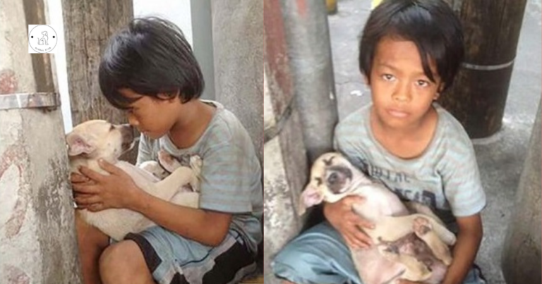 Read more about the article A Moving Story! After his parents abandoned him, the boy found love in the arms of the dog.