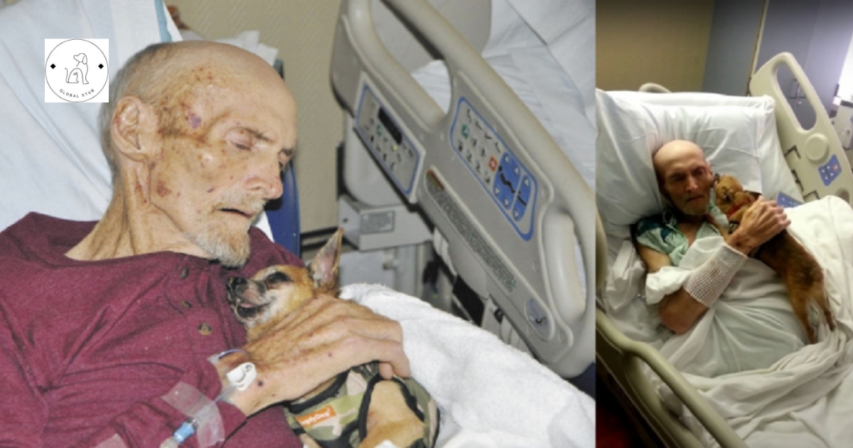 After being reunited with his beloved dog, the 73-year-old man heals fast.
