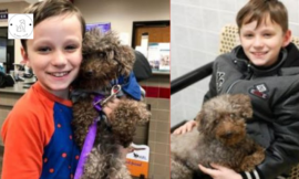 LITTLE BOY ADOPTS THE OLDEST UNWANTED DOG FROM A SHELTER AND KEEPING HIM HAPPY UNTIL HIS LAST DAYS