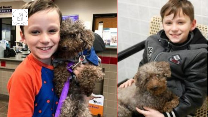 Read more about the article LITTLE BOY ADOPTS THE OLDEST UNWANTED DOG FROM A SHELTER AND KEEPING HIM HAPPY UNTIL HIS LAST DAYS
