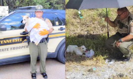 The police rescue and adopt a stranded dog on the side of the road.
