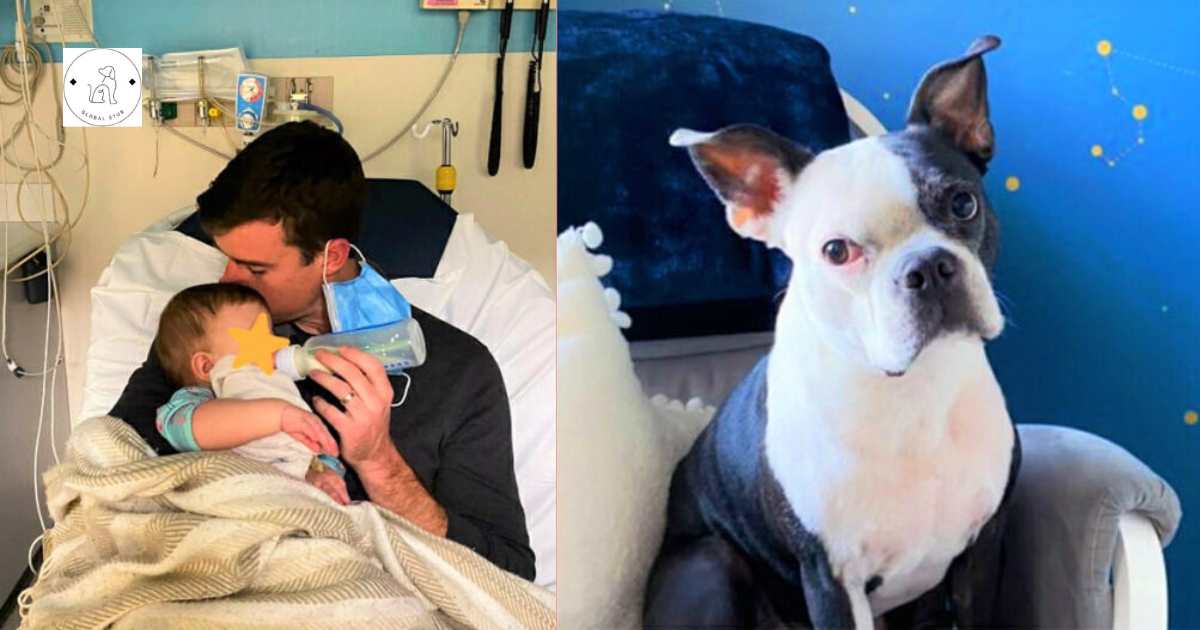 When a baby girl stops breathing in the middle of the night, a brave dog saves her life.