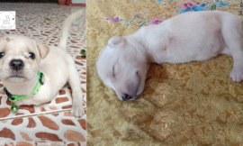 Wiggles Into Man’s Heart Due to Mom’s Deformity