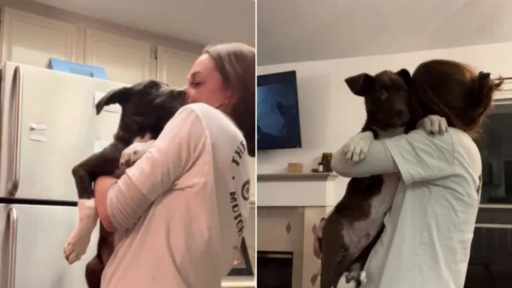 Fearful Rescue Dog Gives His New Foster Mom The Sweetest Hug