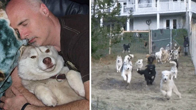 This Man Can’t Stop Adopting Dogs
