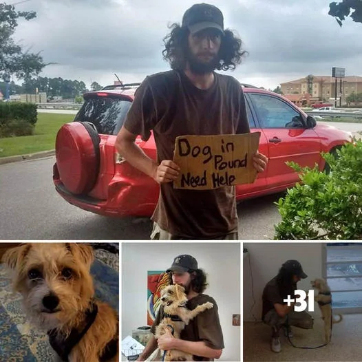 A Kind-hearted Woman’s Compassion Shines as She Helps a Homeless Man and His Beloved Dog Outside Walmart