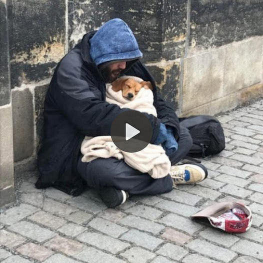 Unbroken Bonds: A Heartwarming Winter Tale of a Homeless Man and His Loyal Dog Facing the Cold Together