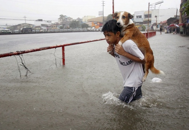 A 7-year-old boy becomes a hero when he saves an abandoned dog, demonstrating great empathy.